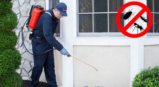 Sarıyer Uçan Haşere İlaçlama böcek ilaçlama ve haşere kontrolü — ilaclama-tr.com